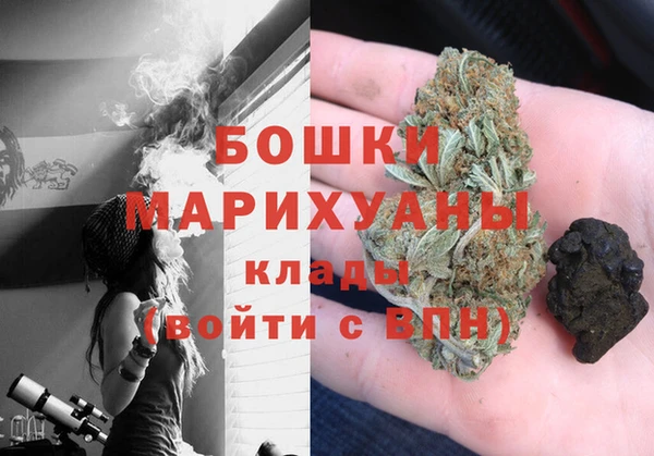 сатива Алексеевка