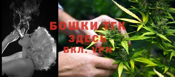 ГАЛЛЮЦИНОГЕННЫЕ ГРИБЫ Саяногорск