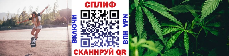 Бошки Шишки марихуана  Кириллов 